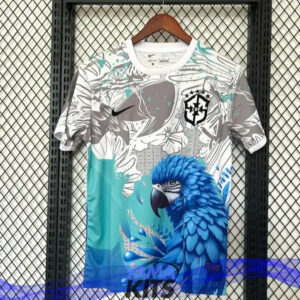 Maillot concept de Brésil 2025